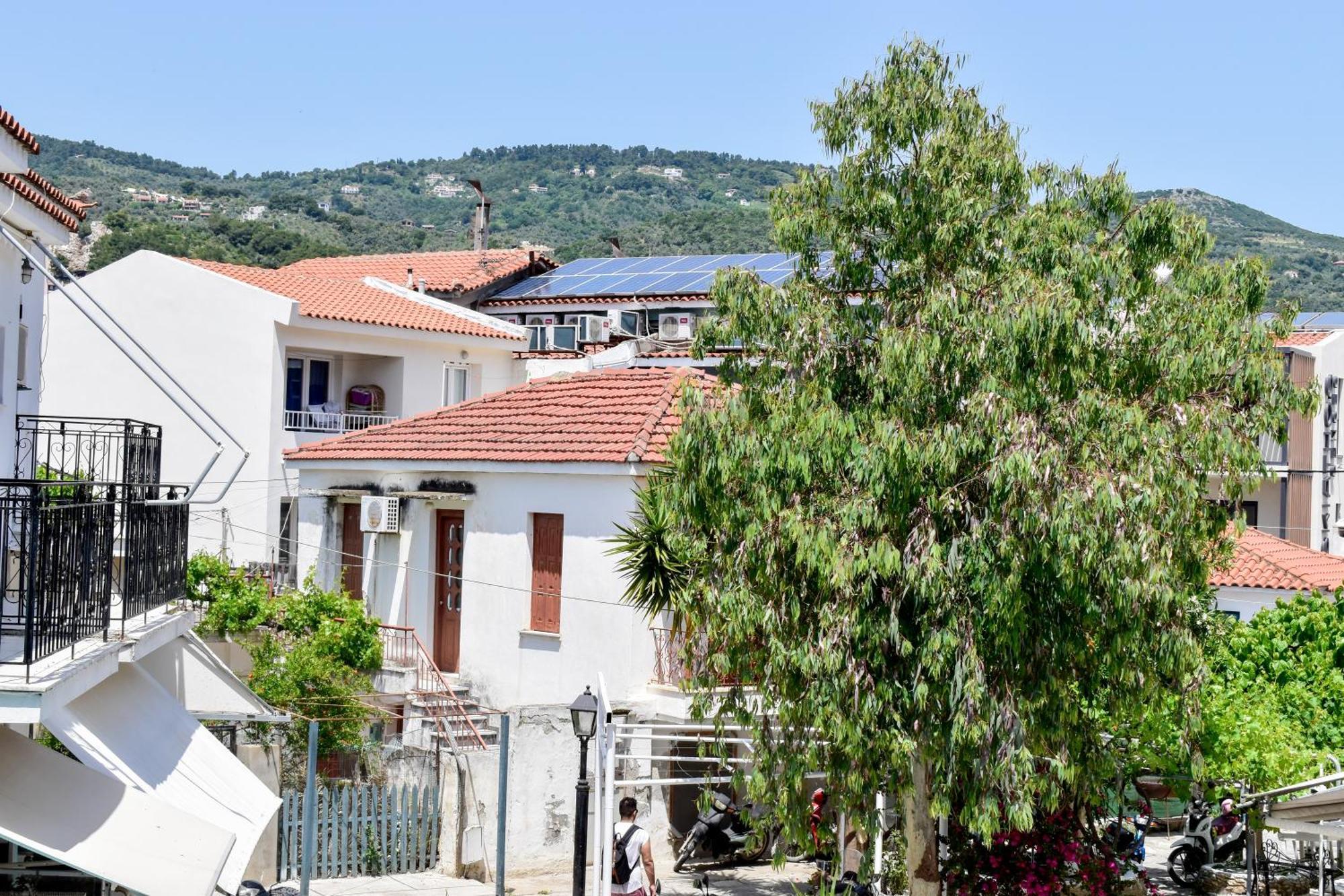 Entelia Hotel Skiathos Town Room photo